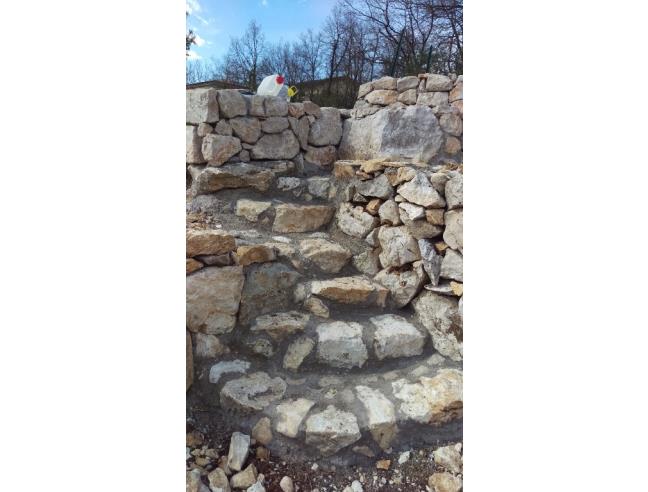 Anteprima foto 3 - Terreno Agricolo/Coltura in Vendita a Vallemaio (Frosinone)