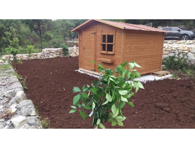 Anteprima foto 5 - Terreno Agricolo/Coltura in Vendita a Vallemaio (Frosinone)