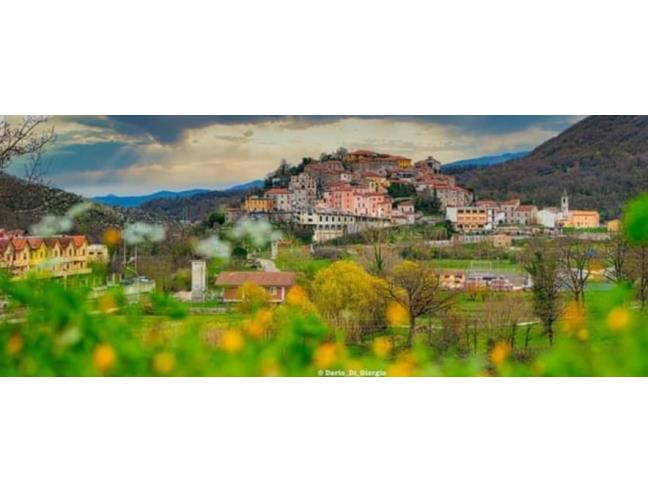 Anteprima foto 6 - Terreno Agricolo/Coltura in Vendita a Vallemaio (Frosinone)