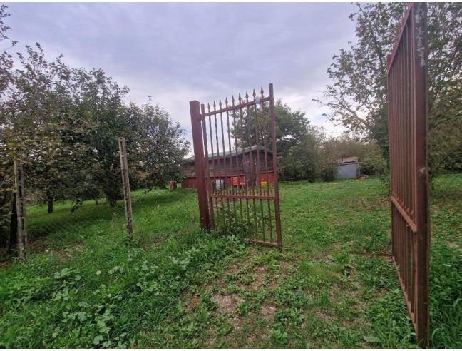 Anteprima foto 2 - Terreno Agricolo/Coltura in Vendita a Vallerano (Viterbo)