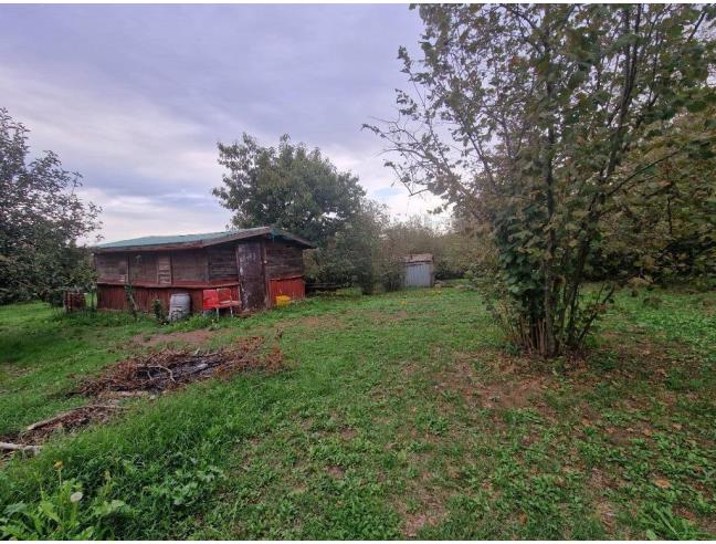 Anteprima foto 3 - Terreno Agricolo/Coltura in Vendita a Vallerano (Viterbo)