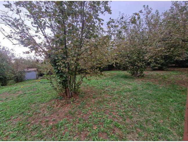 Anteprima foto 4 - Terreno Agricolo/Coltura in Vendita a Vallerano (Viterbo)