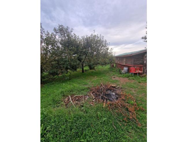 Anteprima foto 5 - Terreno Agricolo/Coltura in Vendita a Vallerano (Viterbo)