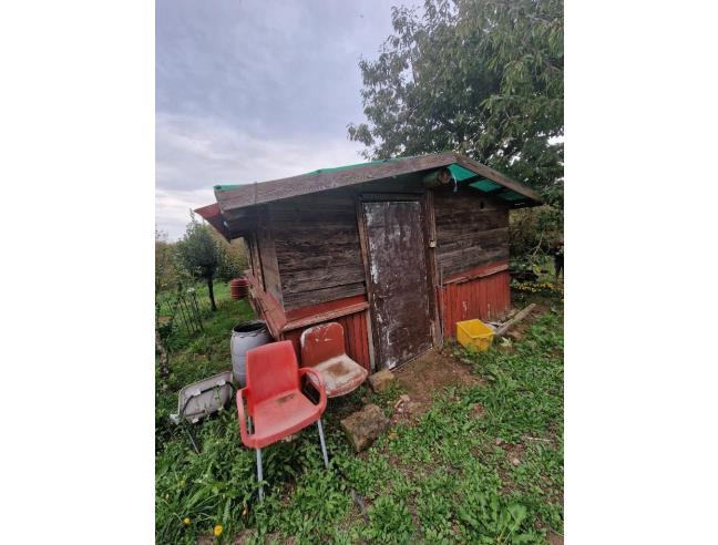 Anteprima foto 6 - Terreno Agricolo/Coltura in Vendita a Vallerano (Viterbo)