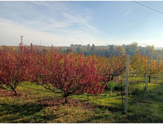 Anteprima foto 2 - Terreno Agricolo/Coltura in Vendita a Valsamoggia (Bologna)