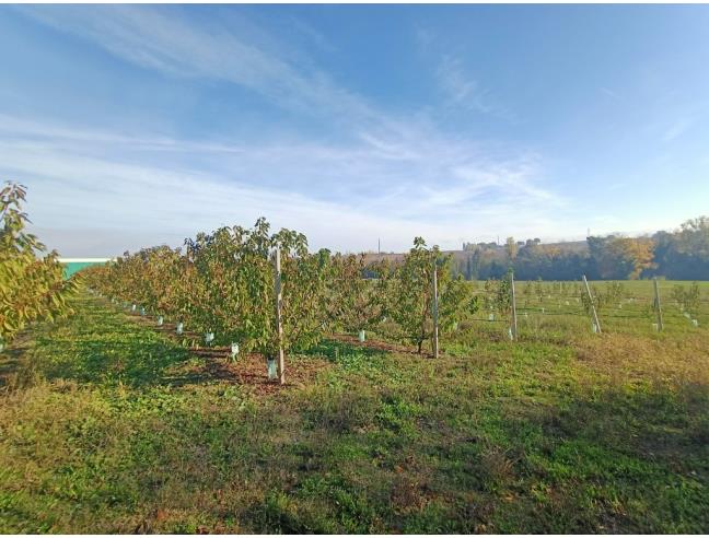 Anteprima foto 3 - Terreno Agricolo/Coltura in Vendita a Valsamoggia (Bologna)