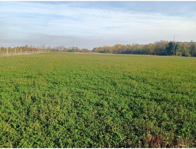 Anteprima foto 5 - Terreno Agricolo/Coltura in Vendita a Valsamoggia (Bologna)