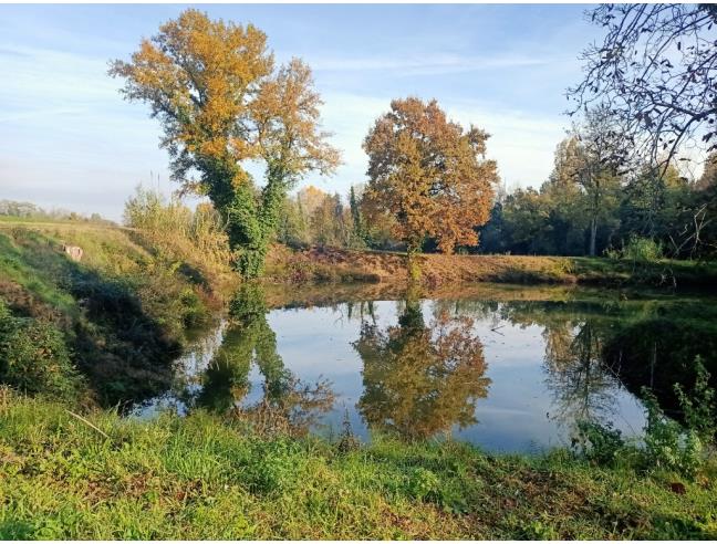 Anteprima foto 7 - Terreno Agricolo/Coltura in Vendita a Valsamoggia (Bologna)