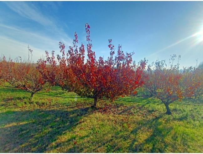 Anteprima foto 8 - Terreno Agricolo/Coltura in Vendita a Valsamoggia (Bologna)