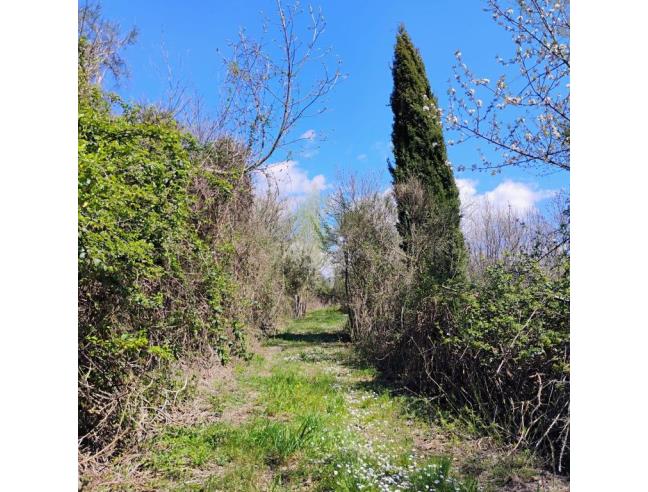 Anteprima foto 2 - Terreno Agricolo/Coltura in Vendita a Varese Ligure - Chiappe