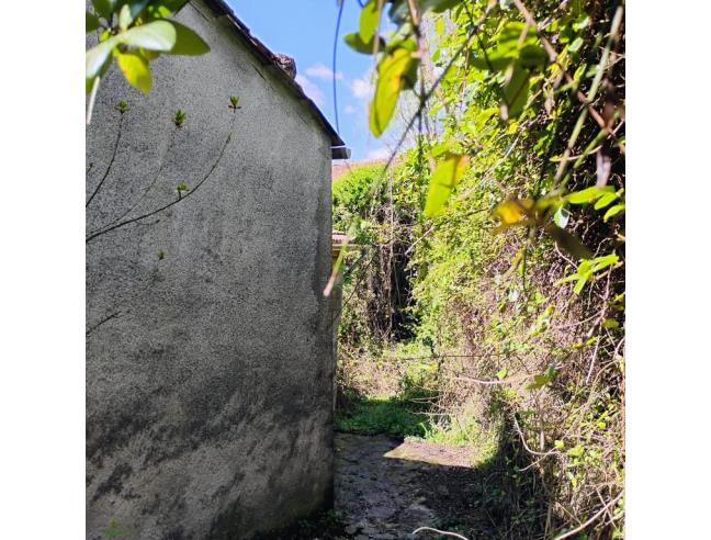 Anteprima foto 6 - Terreno Agricolo/Coltura in Vendita a Varese Ligure - Chiappe