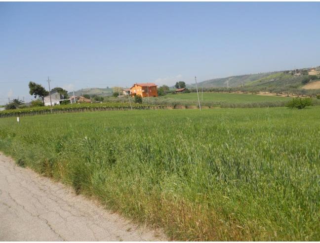 Anteprima foto 2 - Terreno Agricolo/Coltura in Vendita a Vasto (Chieti)