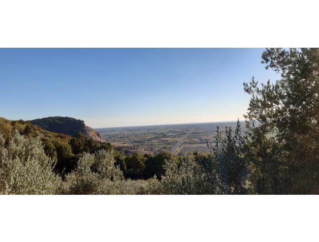 Anteprima foto 2 - Terreno Agricolo/Coltura in Vendita a Vecchiano - Filettole