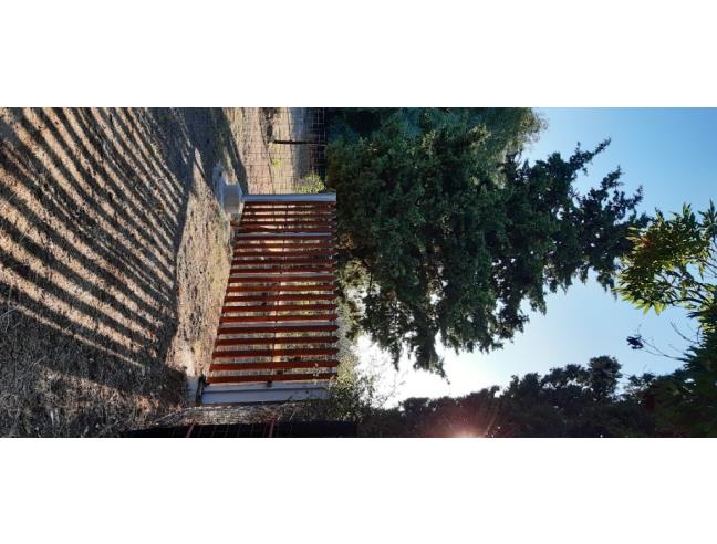 Anteprima foto 6 - Terreno Agricolo/Coltura in Vendita a Vecchiano - Filettole