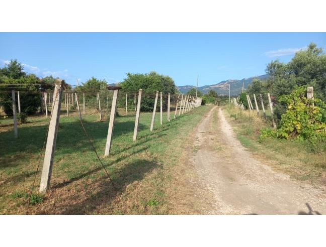 Anteprima foto 1 - Terreno Agricolo/Coltura in Vendita a Velletri (Roma)