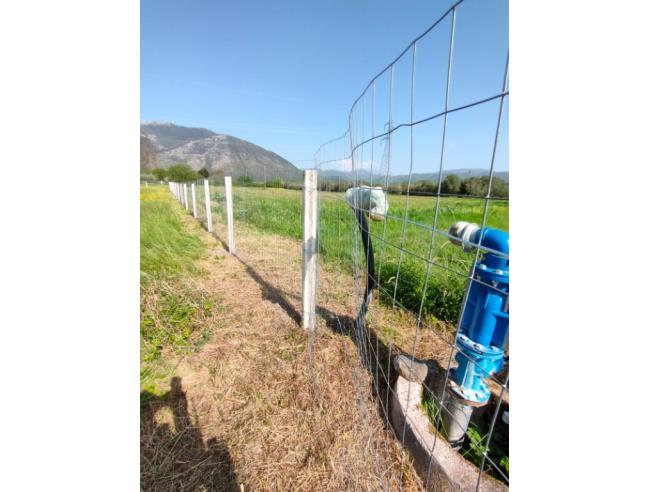 Anteprima foto 2 - Terreno Agricolo/Coltura in Vendita a Venafro (Isernia)