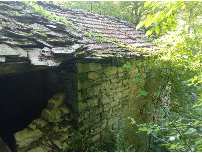 Anteprima foto 2 - Terreno Agricolo/Coltura in Vendita a Vetto - Scalucchia