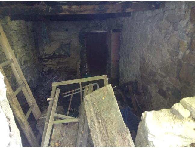 Anteprima foto 3 - Terreno Agricolo/Coltura in Vendita a Vetto - Scalucchia