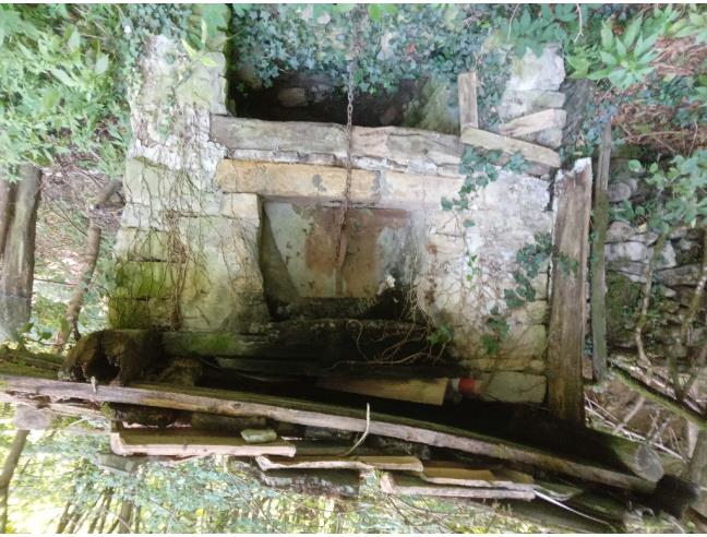 Anteprima foto 4 - Terreno Agricolo/Coltura in Vendita a Vetto - Scalucchia