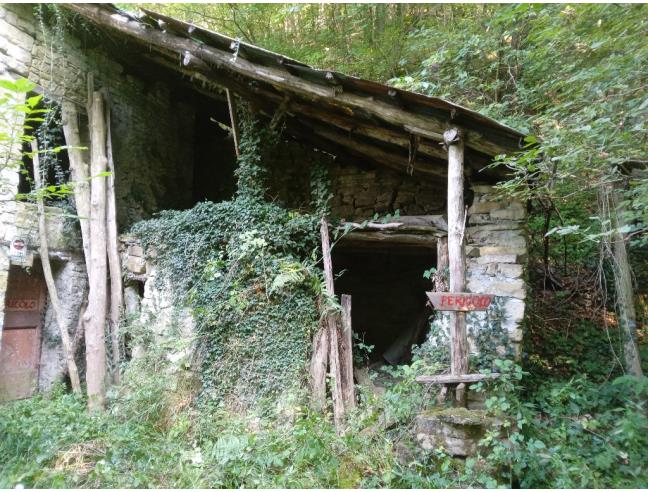 Anteprima foto 5 - Terreno Agricolo/Coltura in Vendita a Vetto - Scalucchia