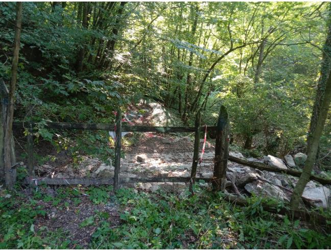 Anteprima foto 6 - Terreno Agricolo/Coltura in Vendita a Vetto - Scalucchia
