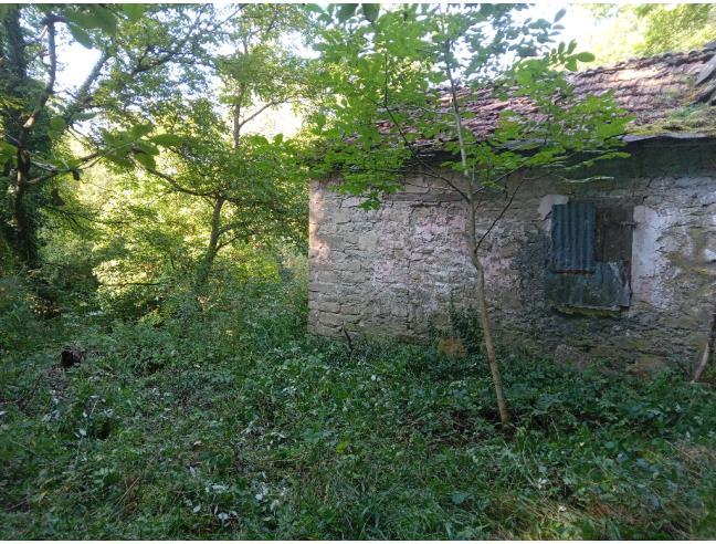 Anteprima foto 7 - Terreno Agricolo/Coltura in Vendita a Vetto - Scalucchia