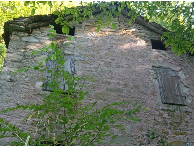 Anteprima foto 8 - Terreno Agricolo/Coltura in Vendita a Vetto - Scalucchia