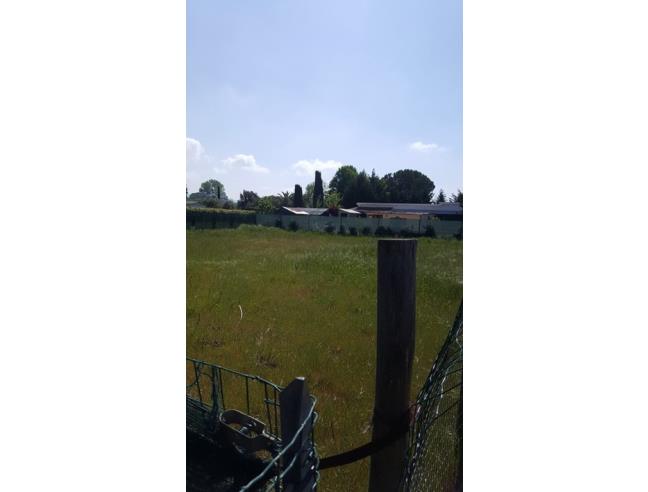 Anteprima foto 2 - Terreno Agricolo/Coltura in Vendita a Viareggio (Lucca)