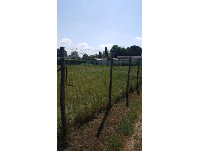 Anteprima foto 3 - Terreno Agricolo/Coltura in Vendita a Viareggio (Lucca)