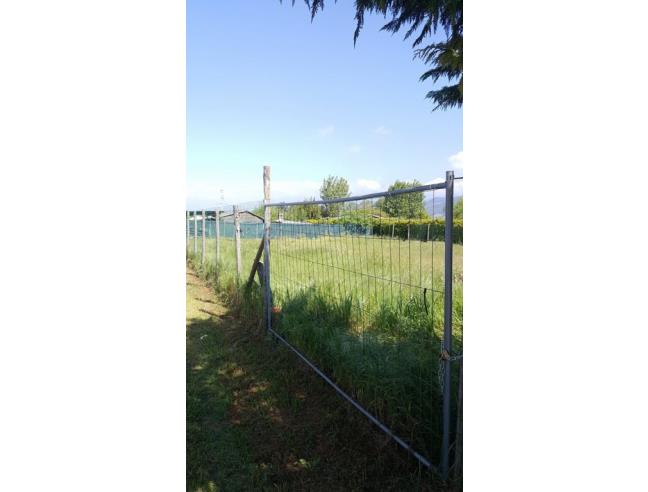 Anteprima foto 4 - Terreno Agricolo/Coltura in Vendita a Viareggio (Lucca)