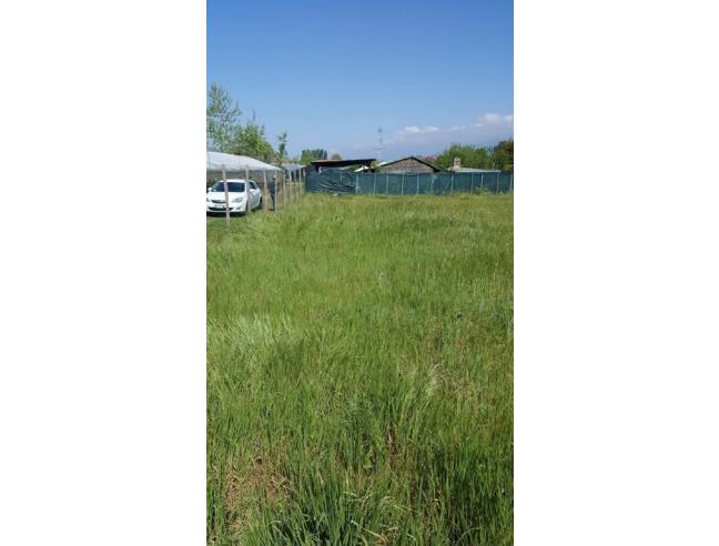 Anteprima foto 5 - Terreno Agricolo/Coltura in Vendita a Viareggio (Lucca)