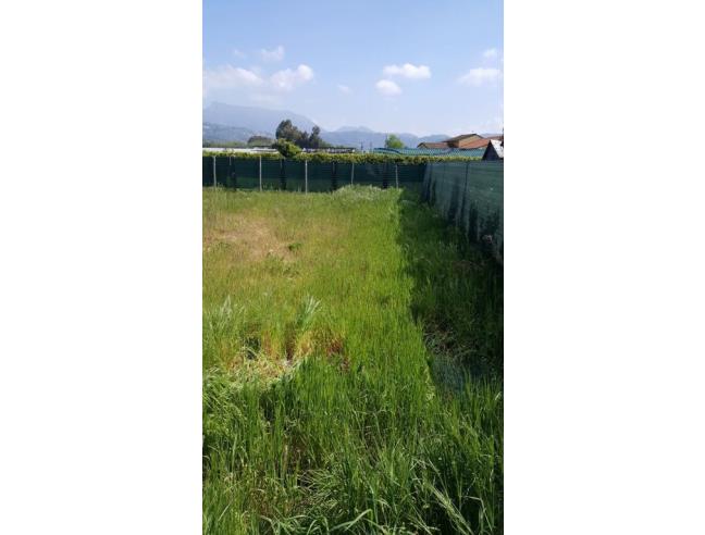 Anteprima foto 6 - Terreno Agricolo/Coltura in Vendita a Viareggio (Lucca)