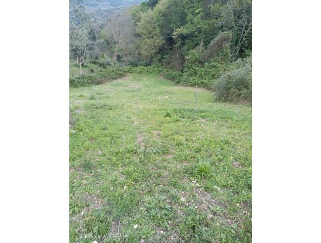 Anteprima foto 1 - Terreno Agricolo/Coltura in Vendita a Vico del Gargano (Foggia)