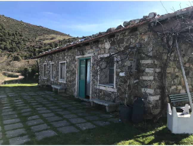 Anteprima foto 4 - Terreno Agricolo/Coltura in Vendita a Viddalba (Sassari)