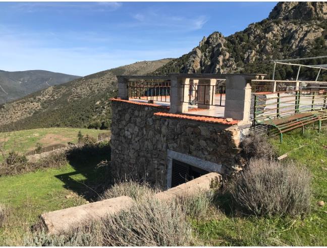 Anteprima foto 6 - Terreno Agricolo/Coltura in Vendita a Viddalba (Sassari)