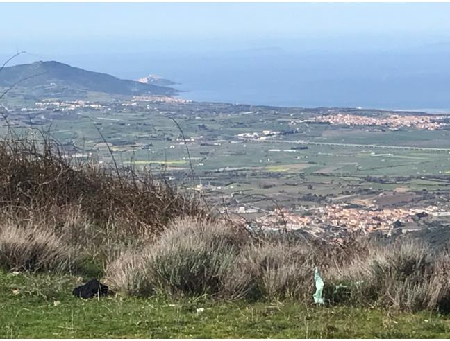Anteprima foto 8 - Terreno Agricolo/Coltura in Vendita a Viddalba (Sassari)