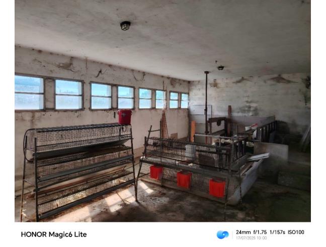 Anteprima foto 8 - Terreno Agricolo/Coltura in Vendita a Viggiù - Baraggia