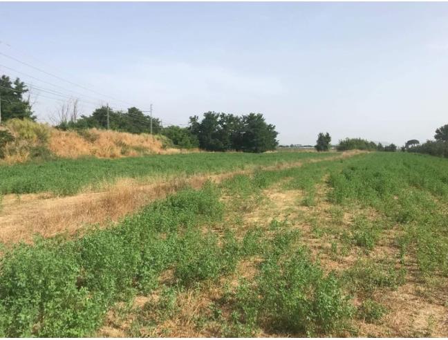 Anteprima foto 2 - Terreno Agricolo/Coltura in Vendita a Villa Literno (Caserta)