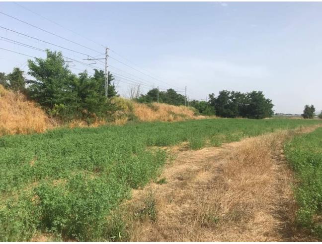 Anteprima foto 3 - Terreno Agricolo/Coltura in Vendita a Villa Literno (Caserta)