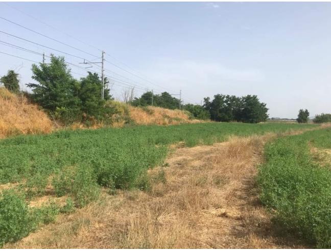 Anteprima foto 4 - Terreno Agricolo/Coltura in Vendita a Villa Literno (Caserta)