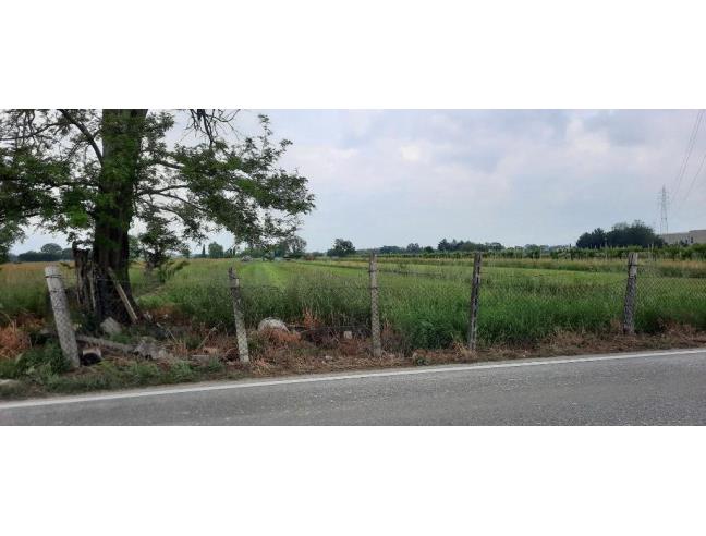 Anteprima foto 1 - Terreno Agricolo/Coltura in Vendita a Villafranca di Verona (Verona)