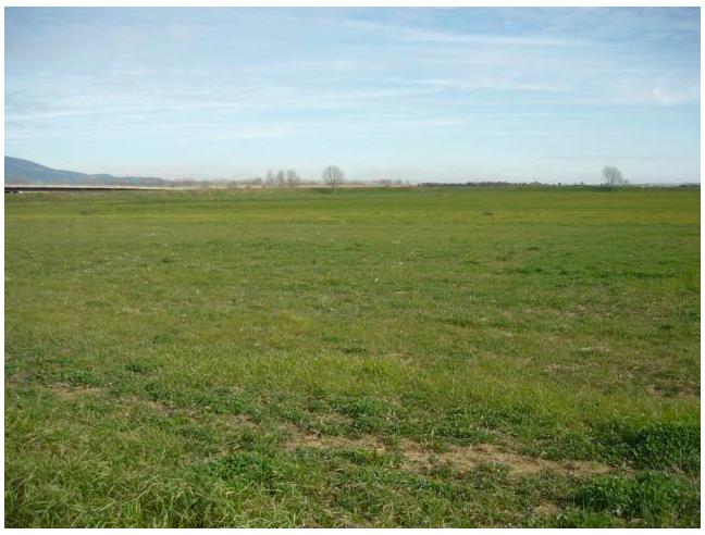 Anteprima foto 1 - Terreno Agricolo/Coltura in Vendita a Villafranca Padovana - Taggi Di Sotto