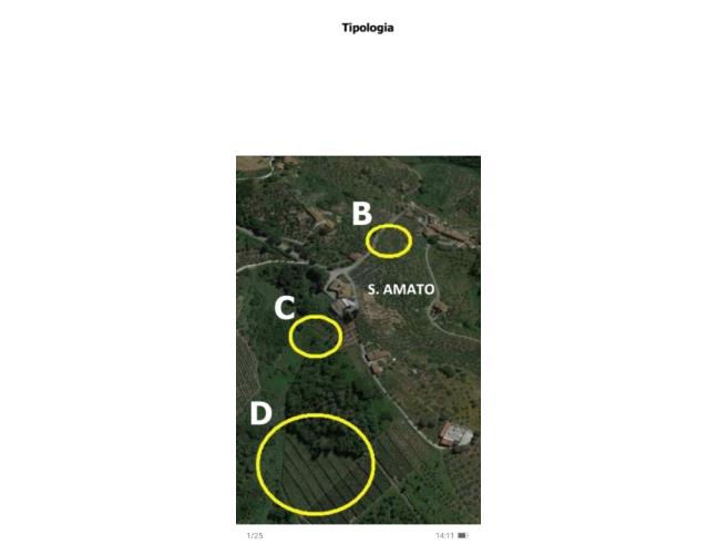 Anteprima foto 3 - Terreno Agricolo/Coltura in Vendita a Vinci (Firenze)