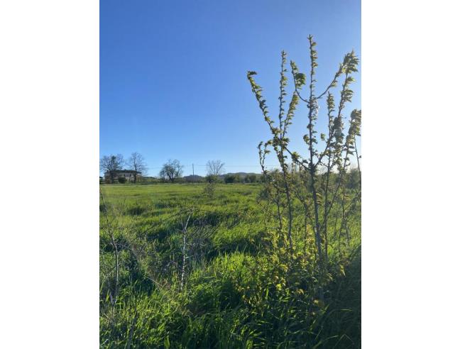 Anteprima foto 1 - Terreno Agricolo/Coltura in Vendita a Volpedo (Alessandria)