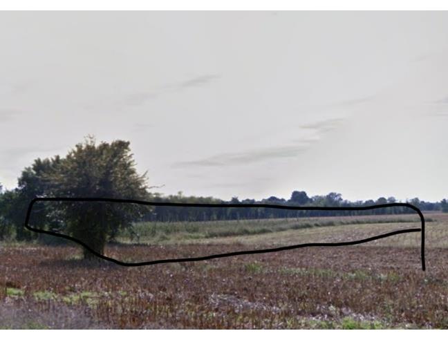 Anteprima foto 1 - Terreno Agricolo/Coltura in Vendita a Volta Mantovana (Mantova)