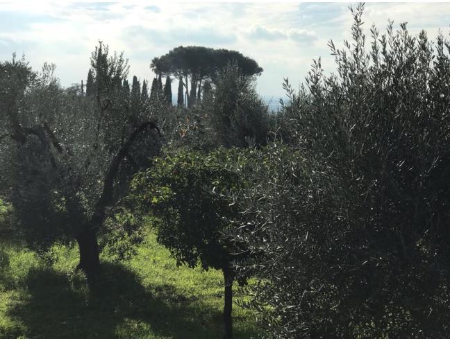 Anteprima foto 2 - Terreno Edificabile Commerciale in Vendita a Cori (Latina)