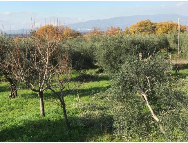 Anteprima foto 3 - Terreno Edificabile Commerciale in Vendita a Cori (Latina)