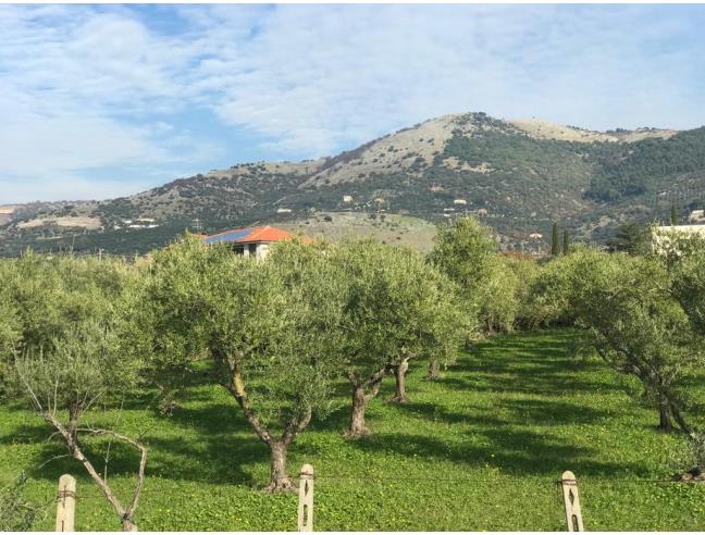 Anteprima foto 4 - Terreno Edificabile Commerciale in Vendita a Cori (Latina)