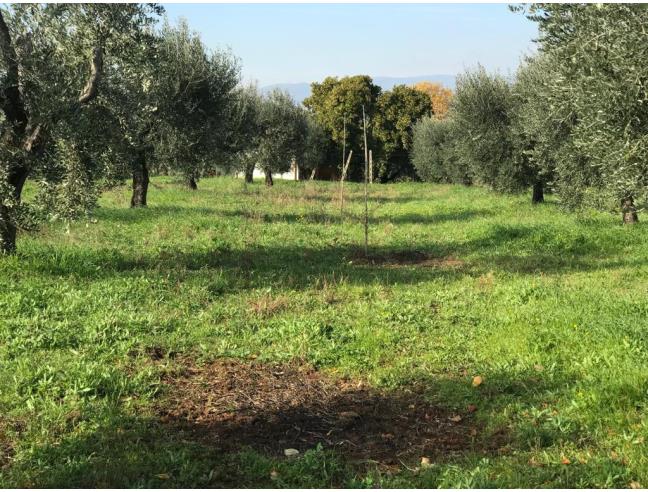 Anteprima foto 6 - Terreno Edificabile Commerciale in Vendita a Cori (Latina)