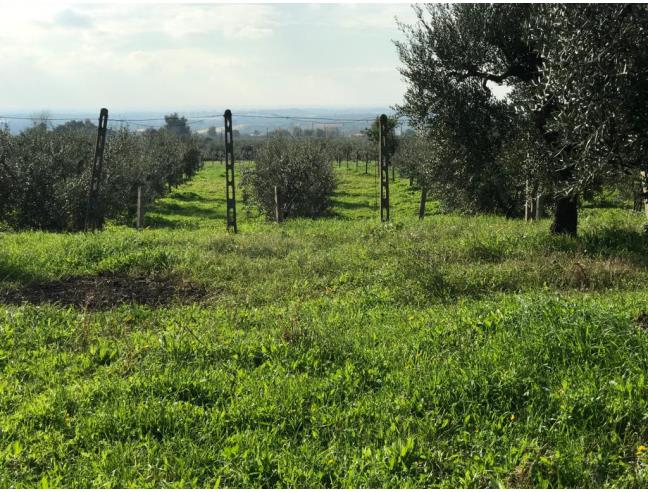 Anteprima foto 7 - Terreno Edificabile Commerciale in Vendita a Cori (Latina)